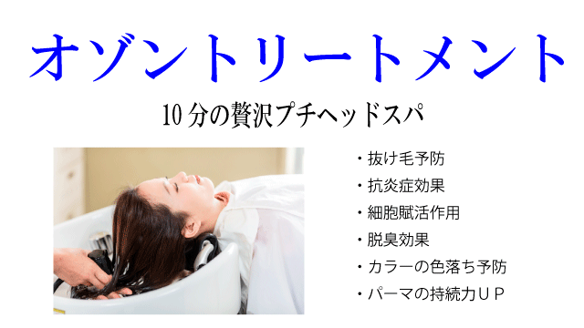 ｵｿﾞﾝﾄﾘｰﾄﾒﾝﾄ